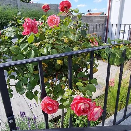 Penzion U Buštíků Sardice Exterior foto