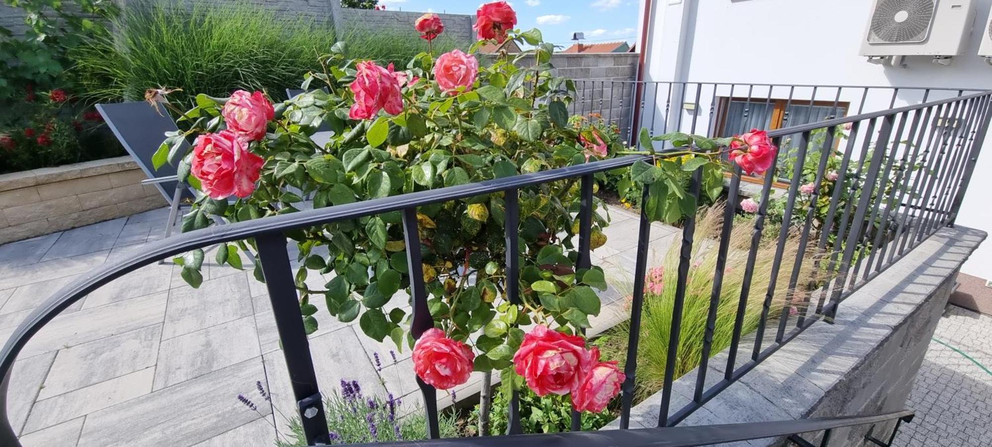 Penzion U Buštíků Sardice Exterior foto